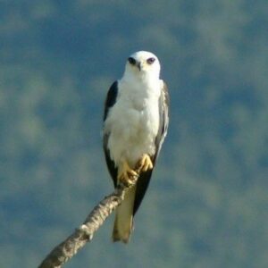 Half Day Hike in KèköLdi