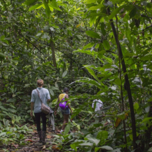 Upper Talamanca Indigenous Territory. Hiking Amubri- Yorkin