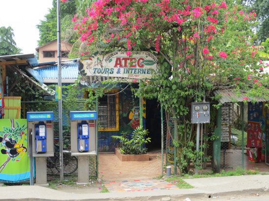 1990 Foundation of ATEC