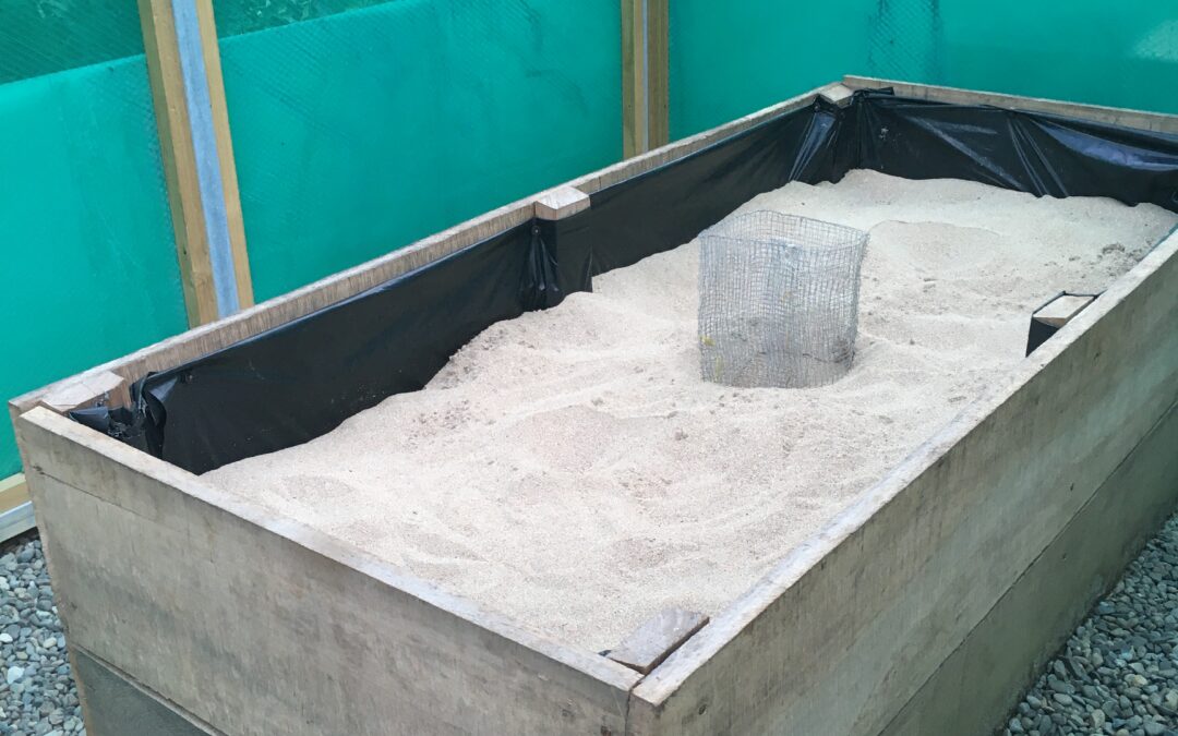 2020Iguana Conservation Project