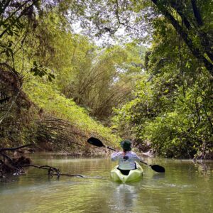 Sunrise and Wildlife River Kayaking in Punta Uva