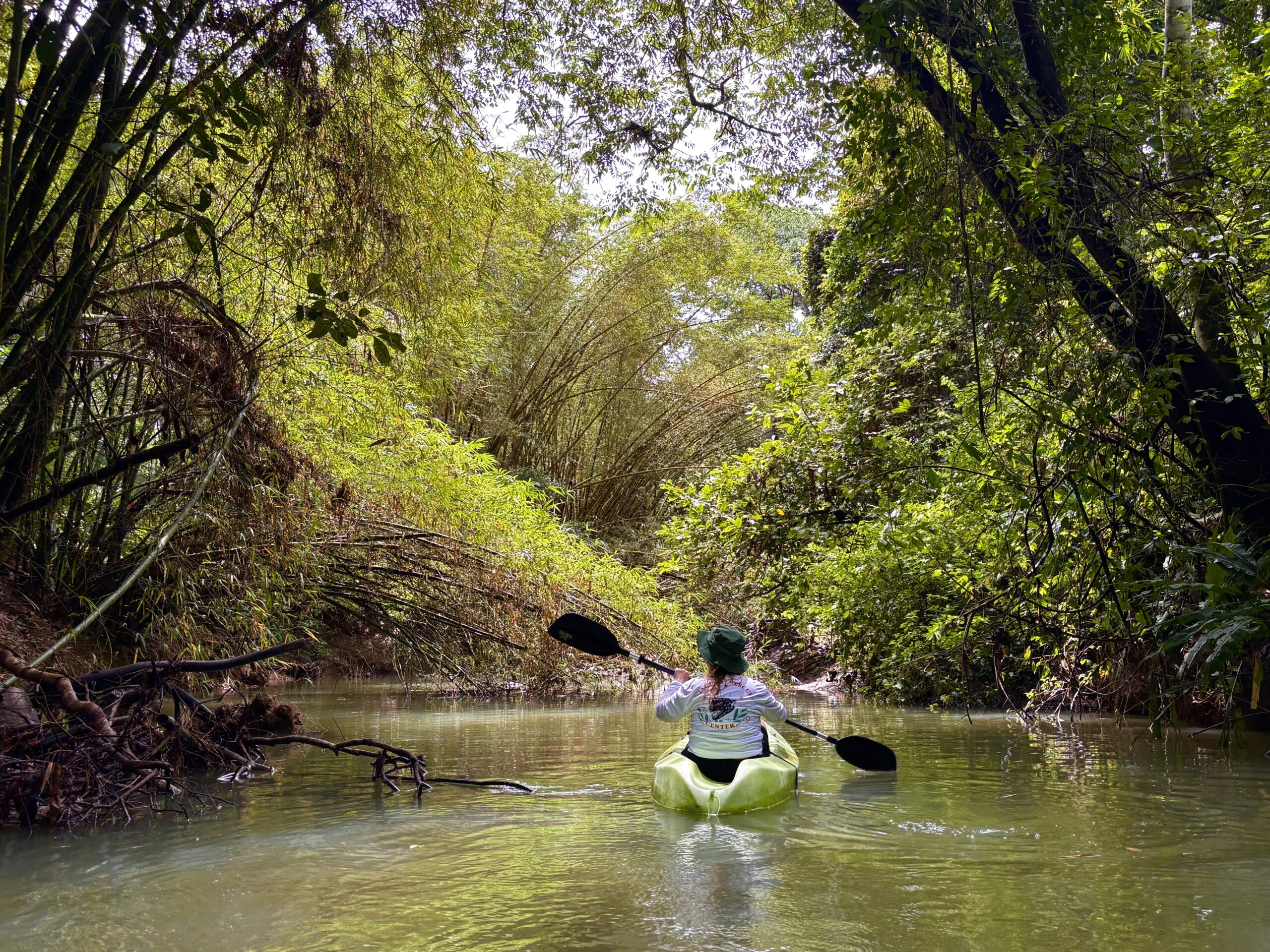 Sunrise and Wildlife River Kayaking in Punta Uva