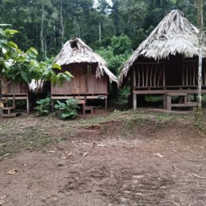 Dururpe Overnight